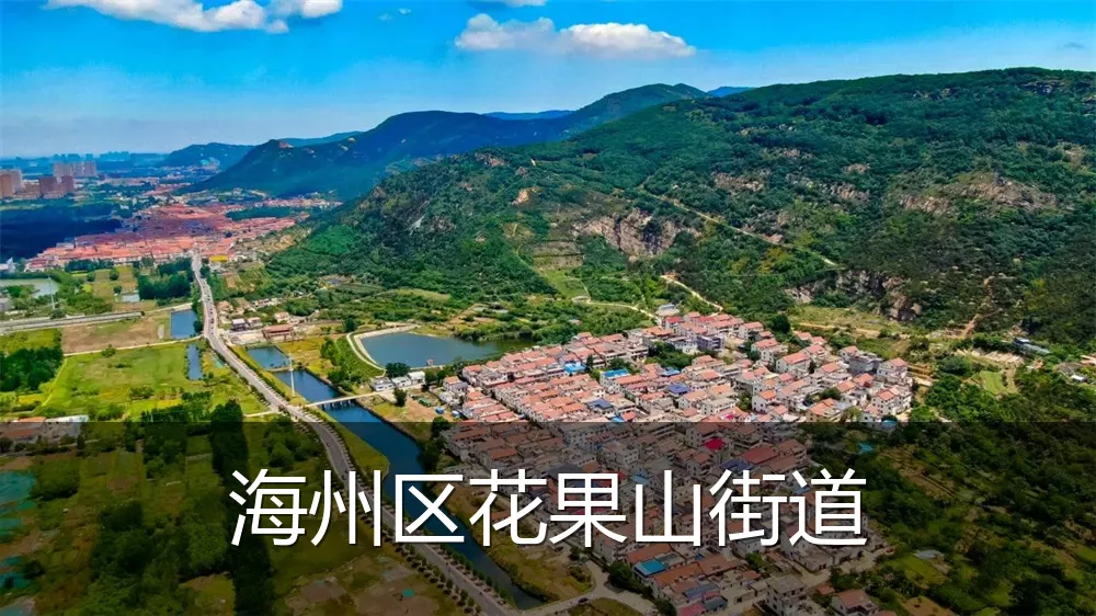 海州区花果山街道